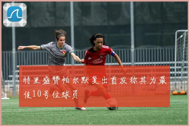 特里盛赞帕尔默复出首发称其为最佳10号位球员