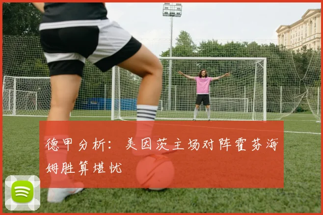 德甲分析：美因茨主场对阵霍芬海姆胜算堪忧